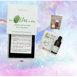 口罩磁石香薰套裝－2H-GP0054